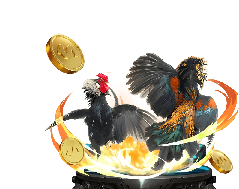 Tổng quan về Sòng bạc M F8BET